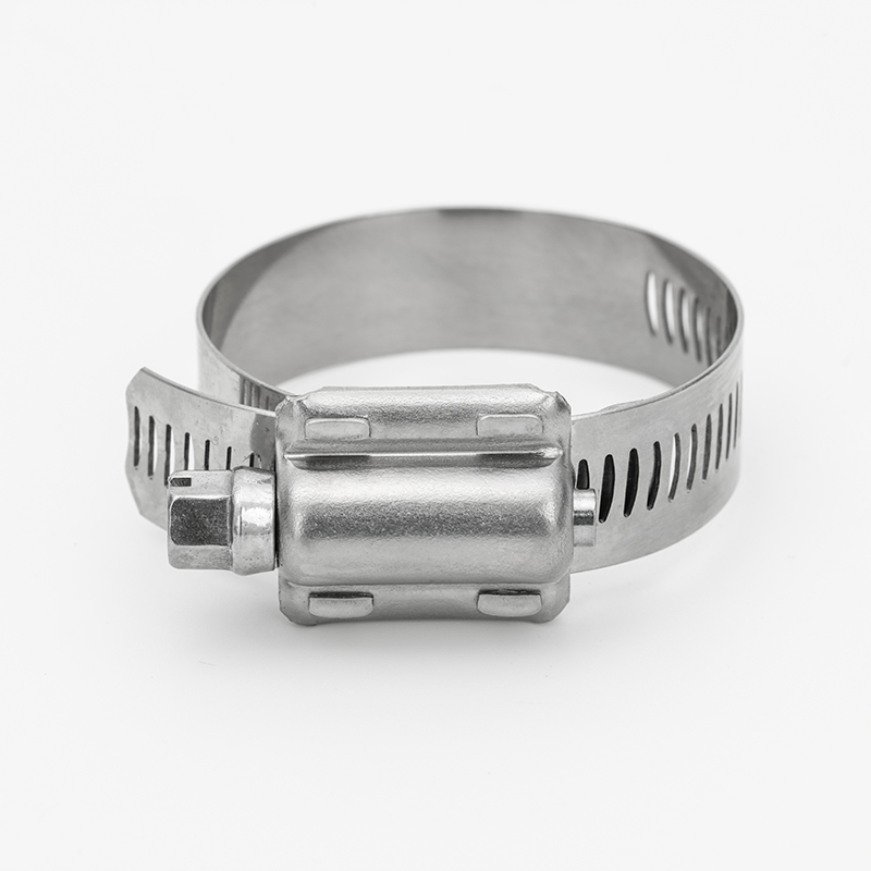 Stainless Steel Hose Clamp