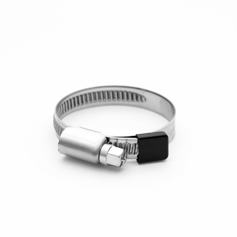 Radiator Hose Clamps