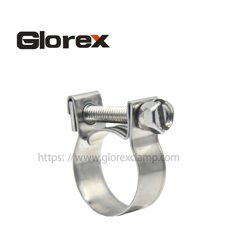 Ss Hose Clamp