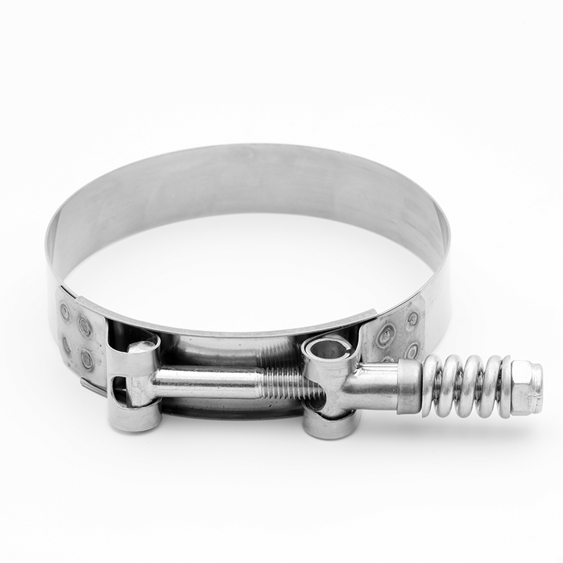 Spring Loaded Hose Clamps
