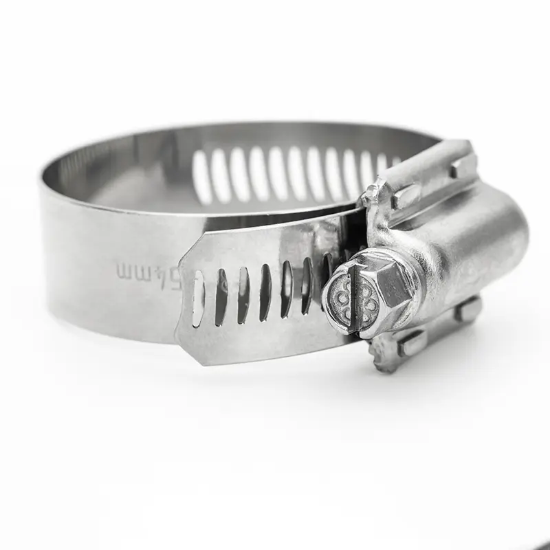 Ss Hose Clamp