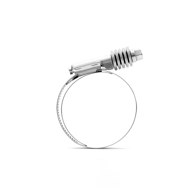 constant pressure hose clamps